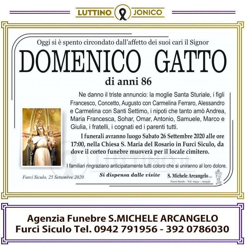 Domenico  Gatto 